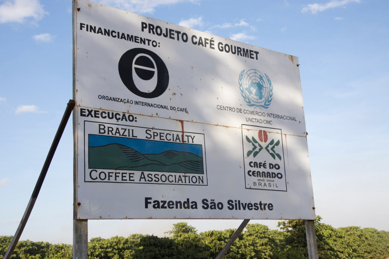 Brasil Fazenda Sao Silvestre