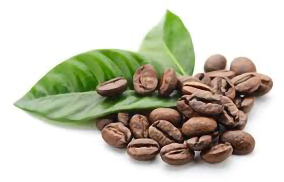Indien - Monsooned Malabar