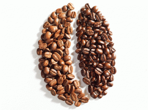Treccinos Blend